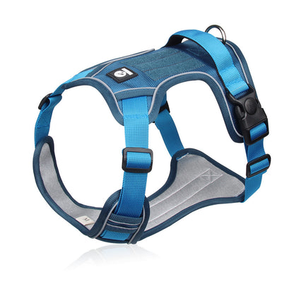 Pet dog chest and back strap leash